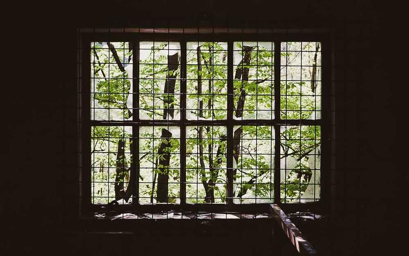 Best E-Ink Tablets for Distraction-Free Work: Top Picks Revealed