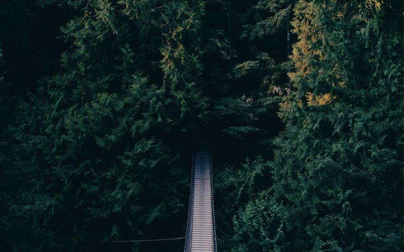 Bypassing DPI: The Ultimate Guide to Foiling Censorship Without Breaking the Bank