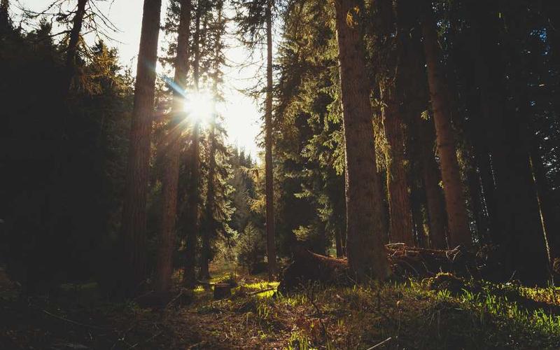 Can I help you with something else?