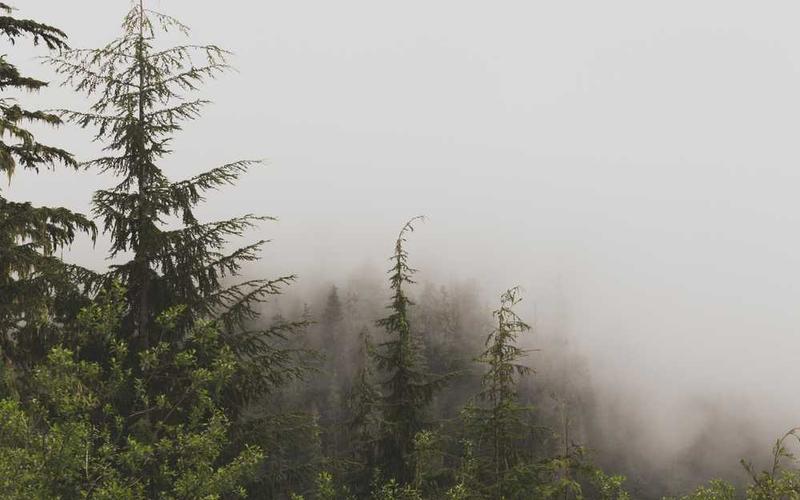 Ditch the Clutter: Setting Up a Paperless Home Office with Pro Tools