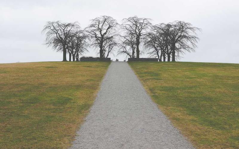 Master Your Second Brain: A Step-by-Step Guide to Building with Obsidian and Local AI Plugins