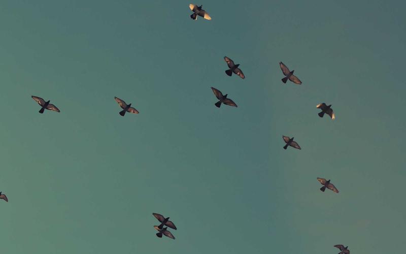 Mastering Veracrypt: A Step-by-Step Guide to Creating Hidden Partitions on Windows