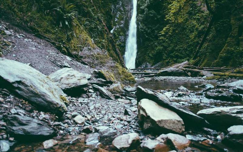 Maximize Your Small Apartment's Space with Vertical Hydroponic Gardening Systems