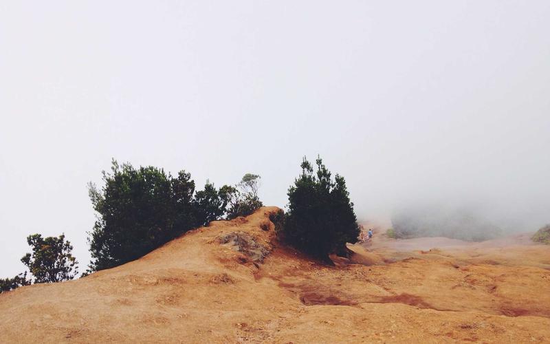 Onyx Boox Tab Ultra C Pro Review: Does E-Ink in Color Live Up to Hype?