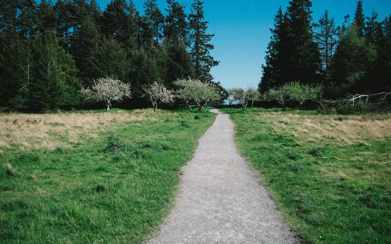 Power Up Your Remote Work: Build a DIY Solar Generator for Under $300