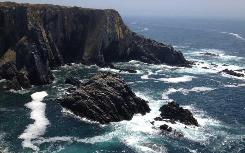 Protect Your Gadgets: How to Build an EMP-Proof Trash Can