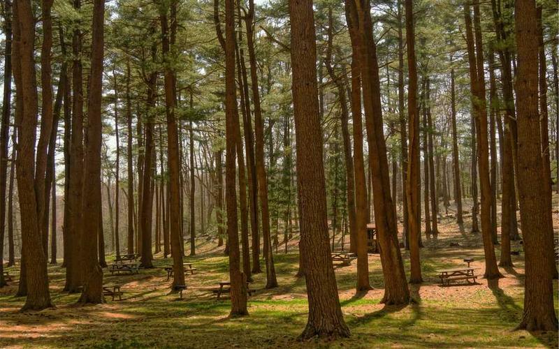 Reduce Microplastics Today: Simple Swaps for a Cleaner Tomorrow