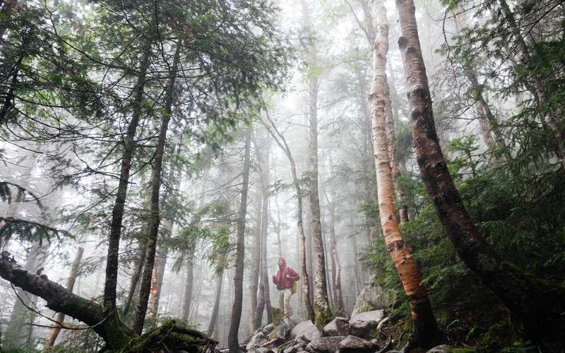 Slow Fashion vs Fast Fashion: Choosing Quality Over Quantity for Ethical Style