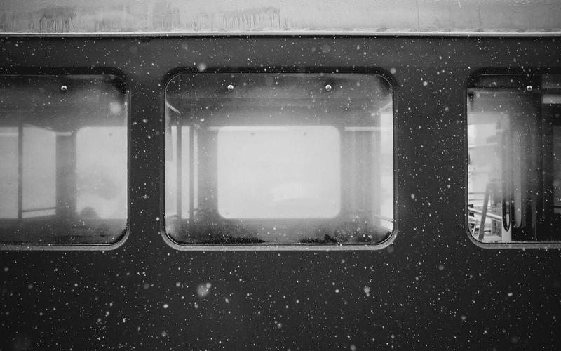 Starlink Roam Review for Van Life: The Ultimate Internet Solution in 2026