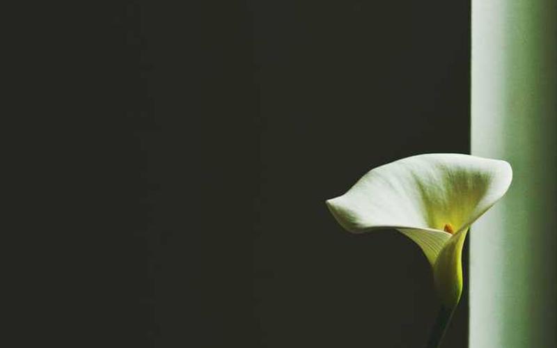 Tiny House Living: Minimalist Design Secrets for Maximizing Every Square Foot