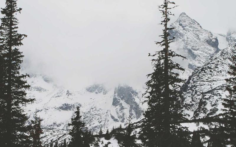 Transform Your Old Android Tablet into a Powerful Home Assistant Dashboard