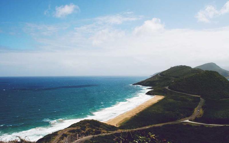 Transform Your Urban Oasis: The Ultimate Guide to Permaculture for Apartments