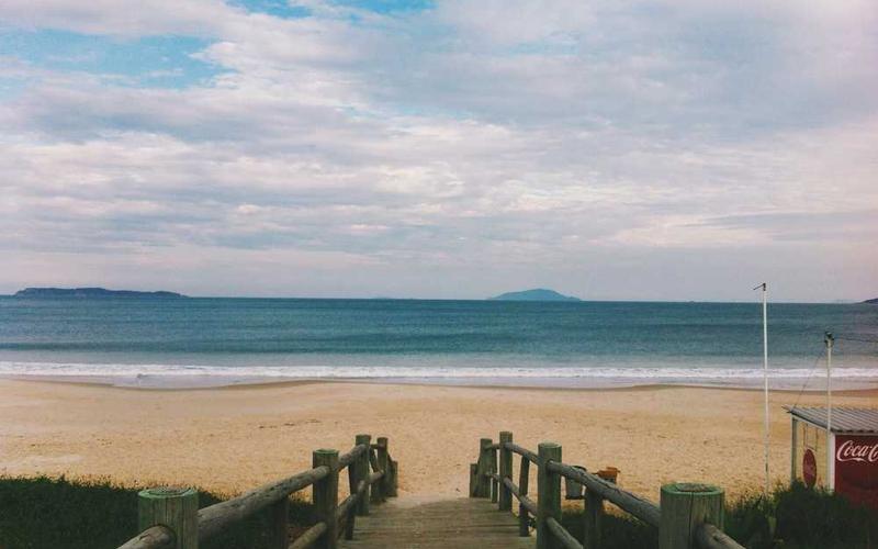 Unleash the Power of Matter: A Simple Guide to Unifying Your Smart Home Devices