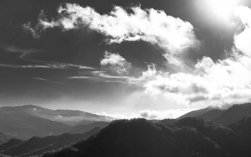 Unleash Your Coding Potential: The Best Mechanical Keyboards Under $50 for Developers in 2026