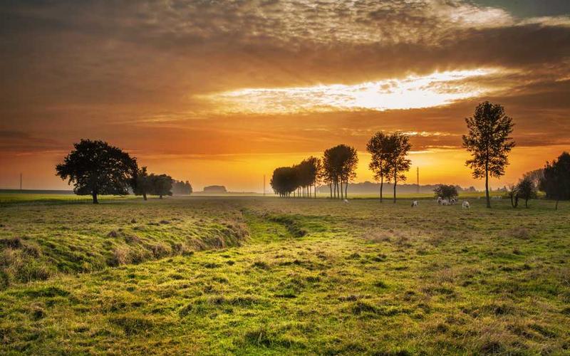 Unlock Endless Imagery: How to Run Stable Diffusion Locally for Unlimited Image Generation