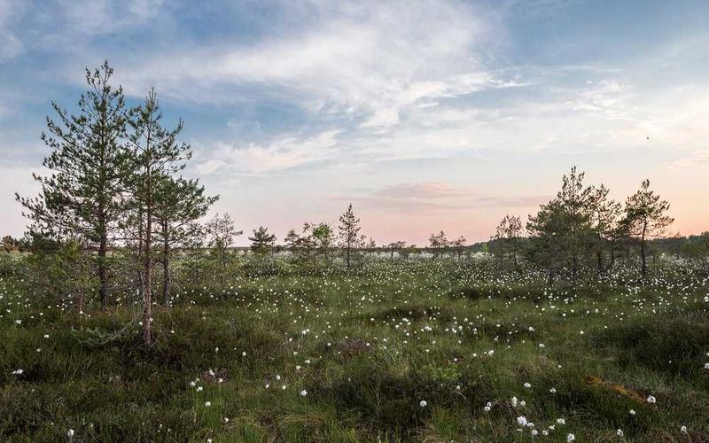 Unlock the Power of Self-Hosted Password Managers: Top Open Source Options Revealed