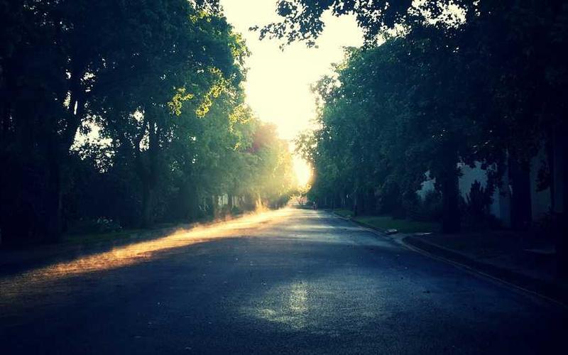 Unlocking Stable Diffusion XL Turbo on Your Consumer Hardware: A Guide